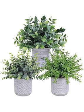Set of 3 Small Fake Potted Plants Eucalyptus Rosemary Greenery in Ceramic Pots